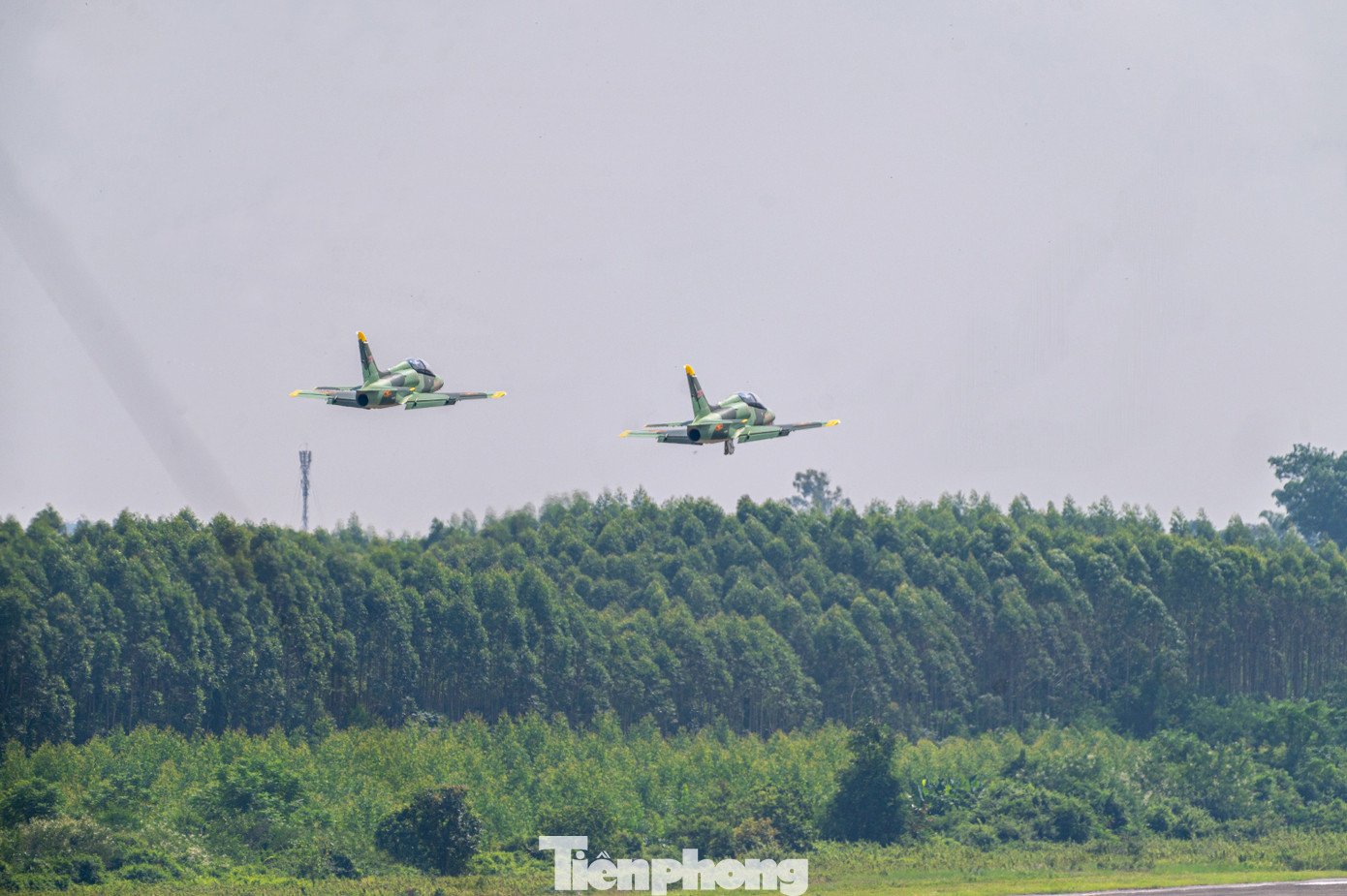 tp-quocnam-z62-8020.jpg