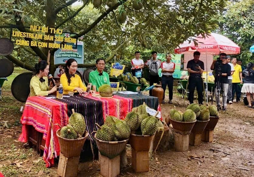 tu nghi quyet den hanh dong bi thu xa truc tiep livestream ban sau rieng hinh anh 1