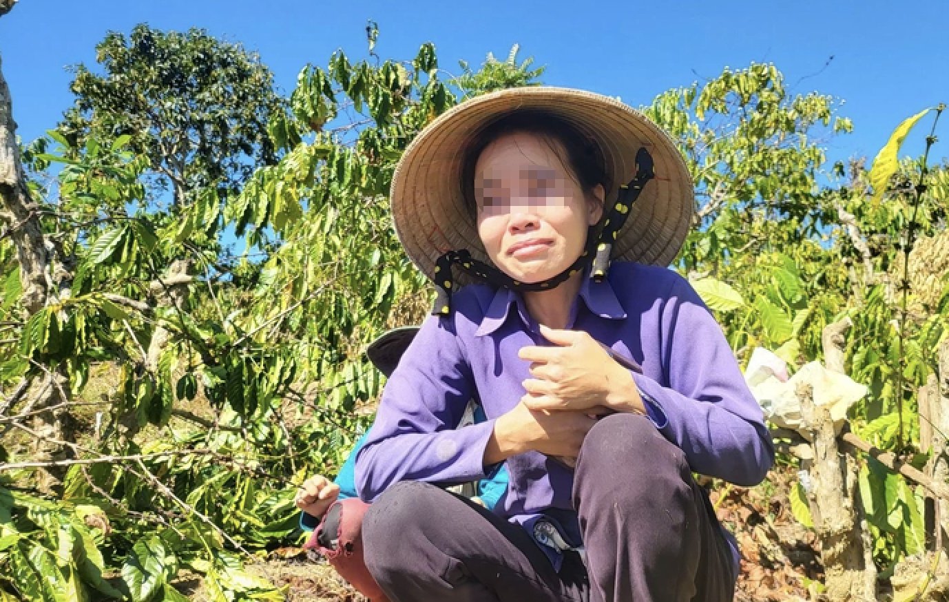 Anh rể phá vườn cây để