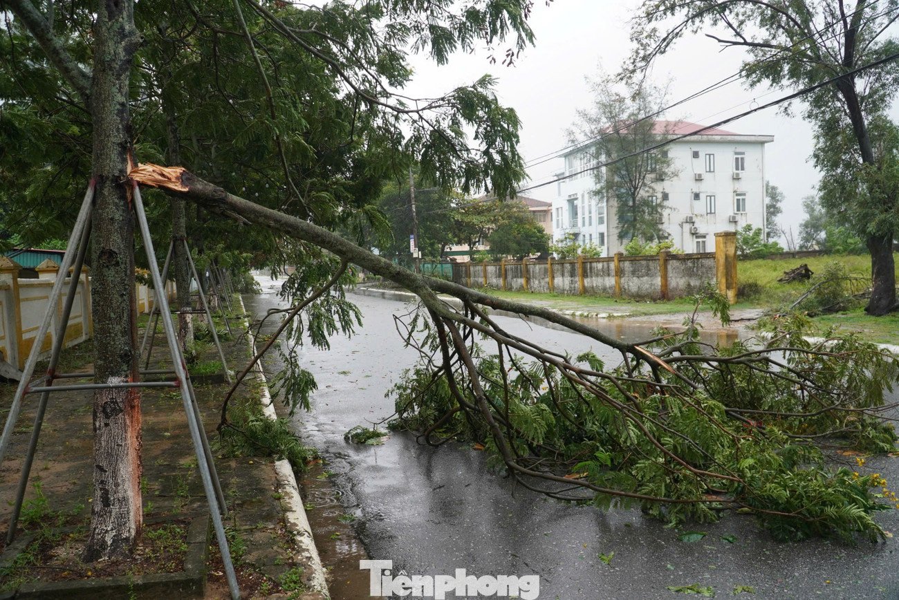 Loạt nhà tốc mái, cây gãy đổ ở Hà Tĩnh trước bão số 5- Ảnh 2.