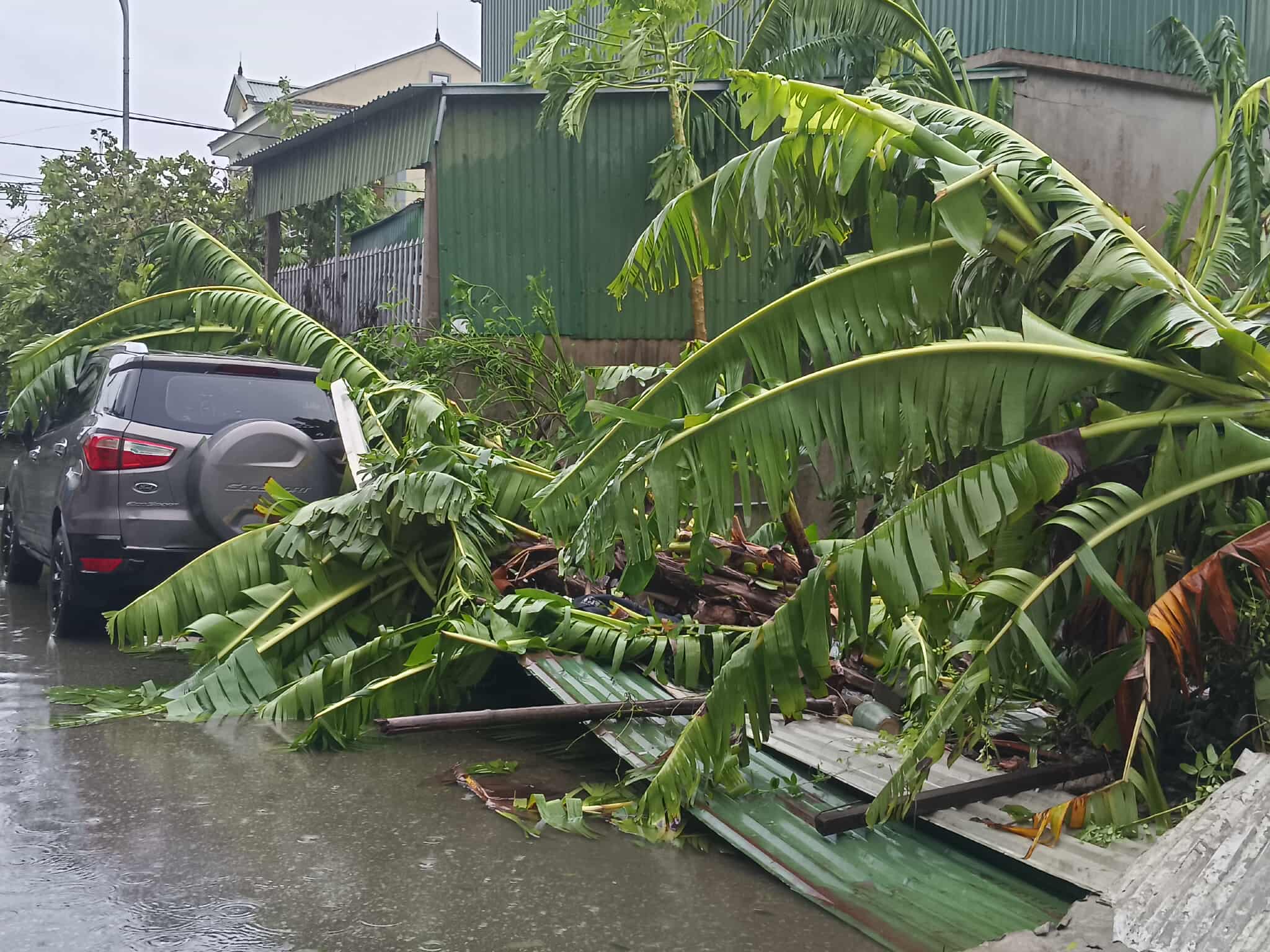 VIDEO: Tan hoang sau khi cuồng phong do bão số 5 quét qua - Ảnh 6.