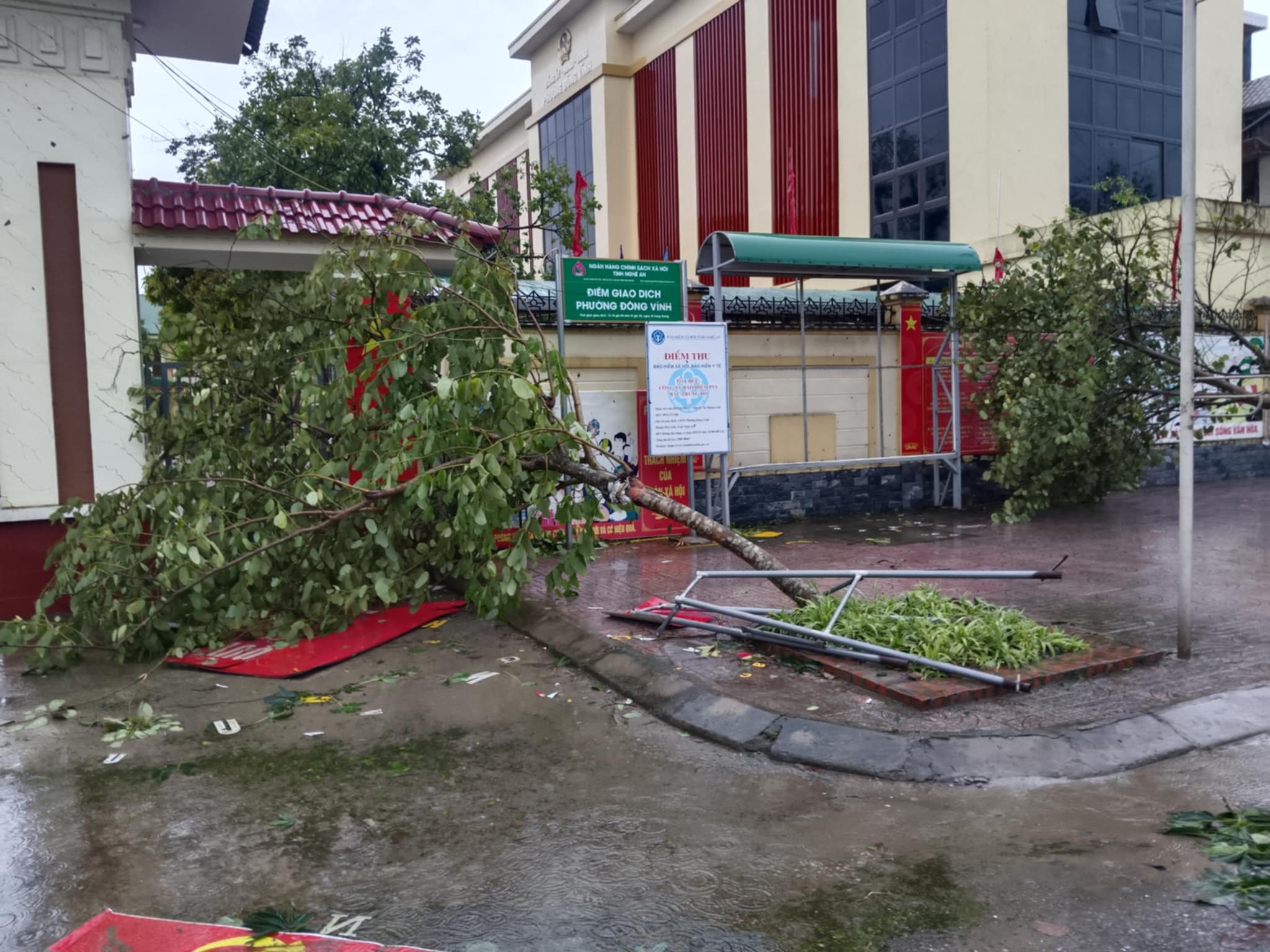 VIDEO: Tan hoang sau khi cuồng phong do bão số 5 quét qua - Ảnh 10.