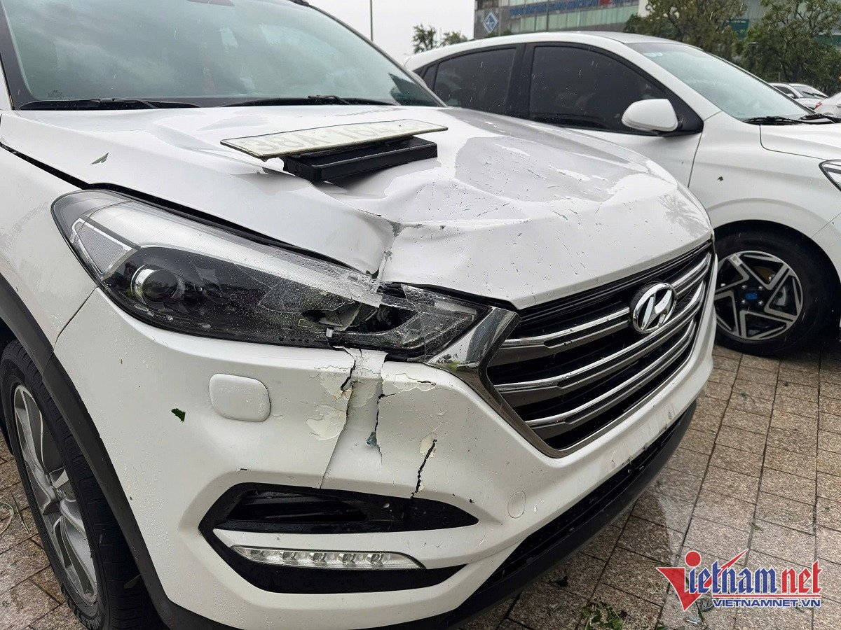 W-xe bể kính 4.jpg