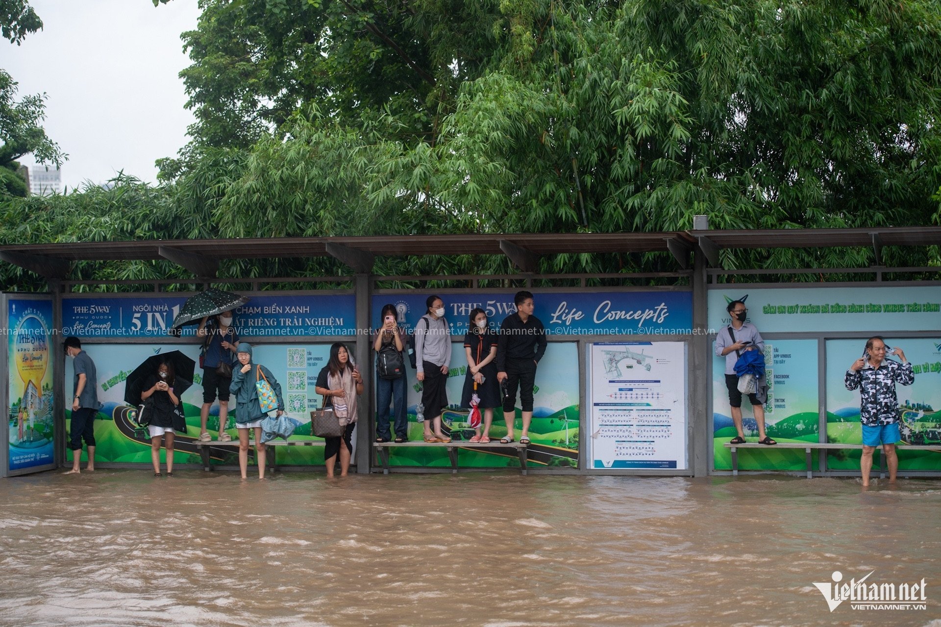 W-mưa ngập thế bằng20.jpg