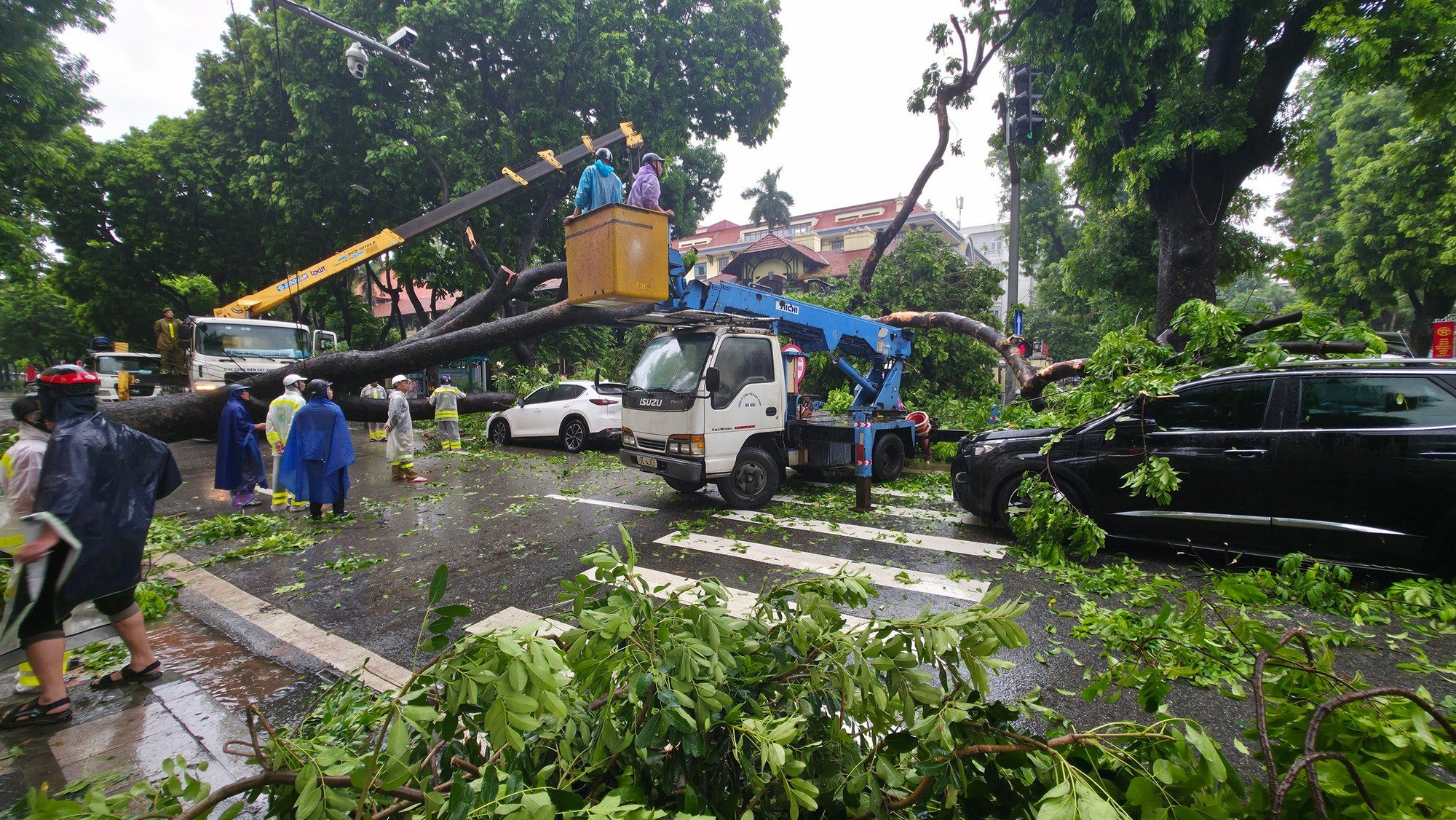 Chủ xe kể 30 giây kinh hoàng khi cây lớn bật gốc đè trúng ô tô giữa phố tại Hà Nội- Ảnh 1.