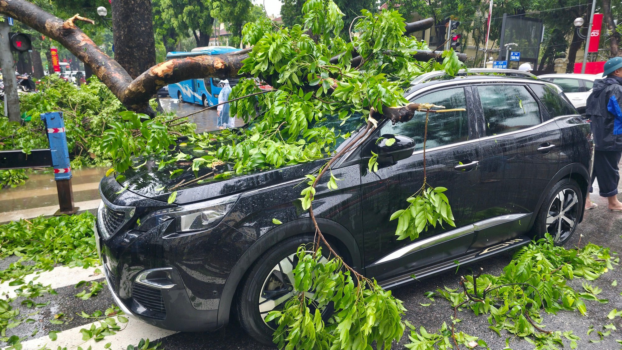 Chủ xe kể 30 giây kinh hoàng khi cây lớn bật gốc đè trúng ô tô giữa phố tại Hà Nội- Ảnh 3.