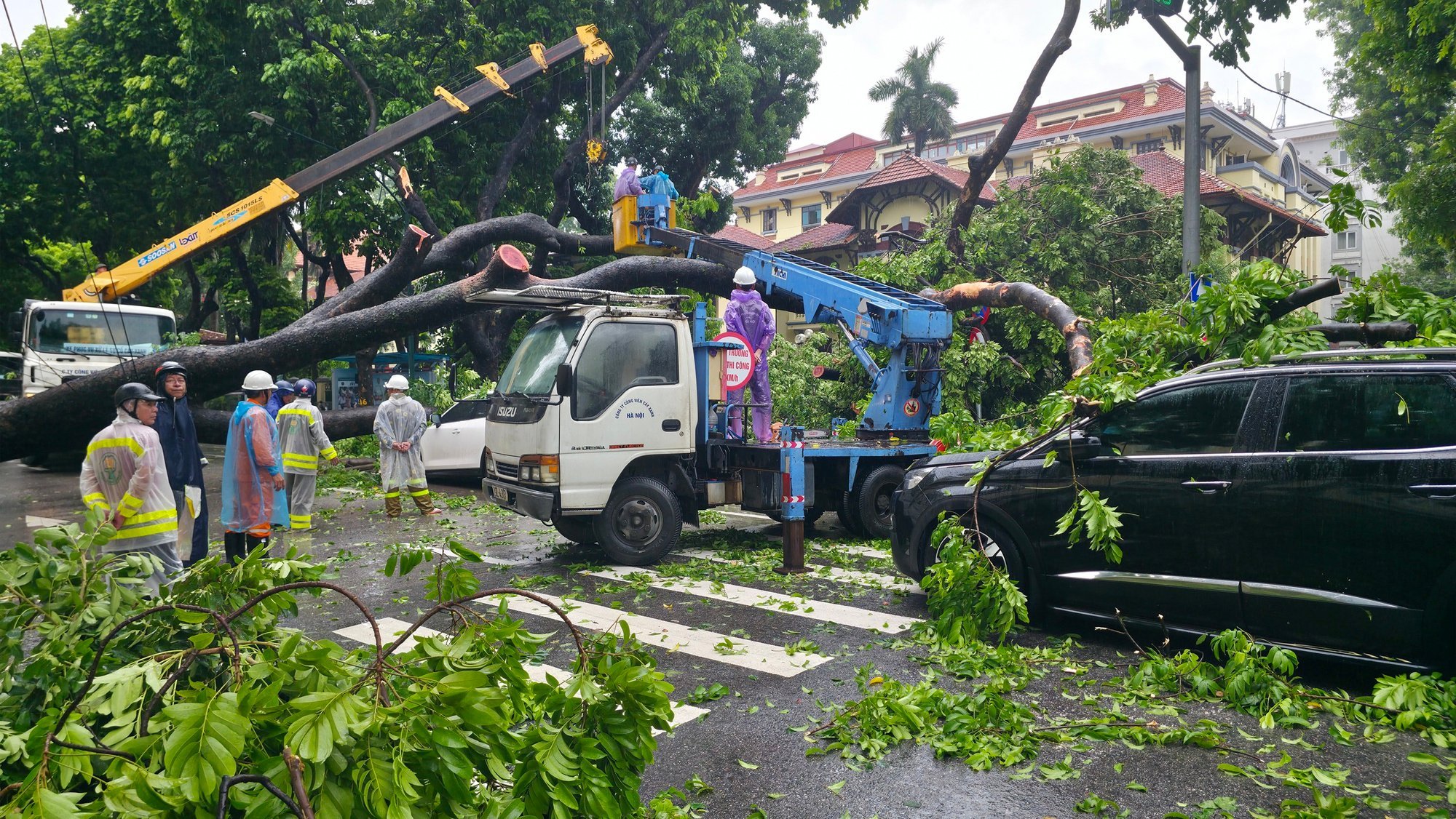 Chủ xe kể 30 giây kinh hoàng khi cây lớn bật gốc đè trúng ô tô giữa phố tại Hà Nội- Ảnh 5.