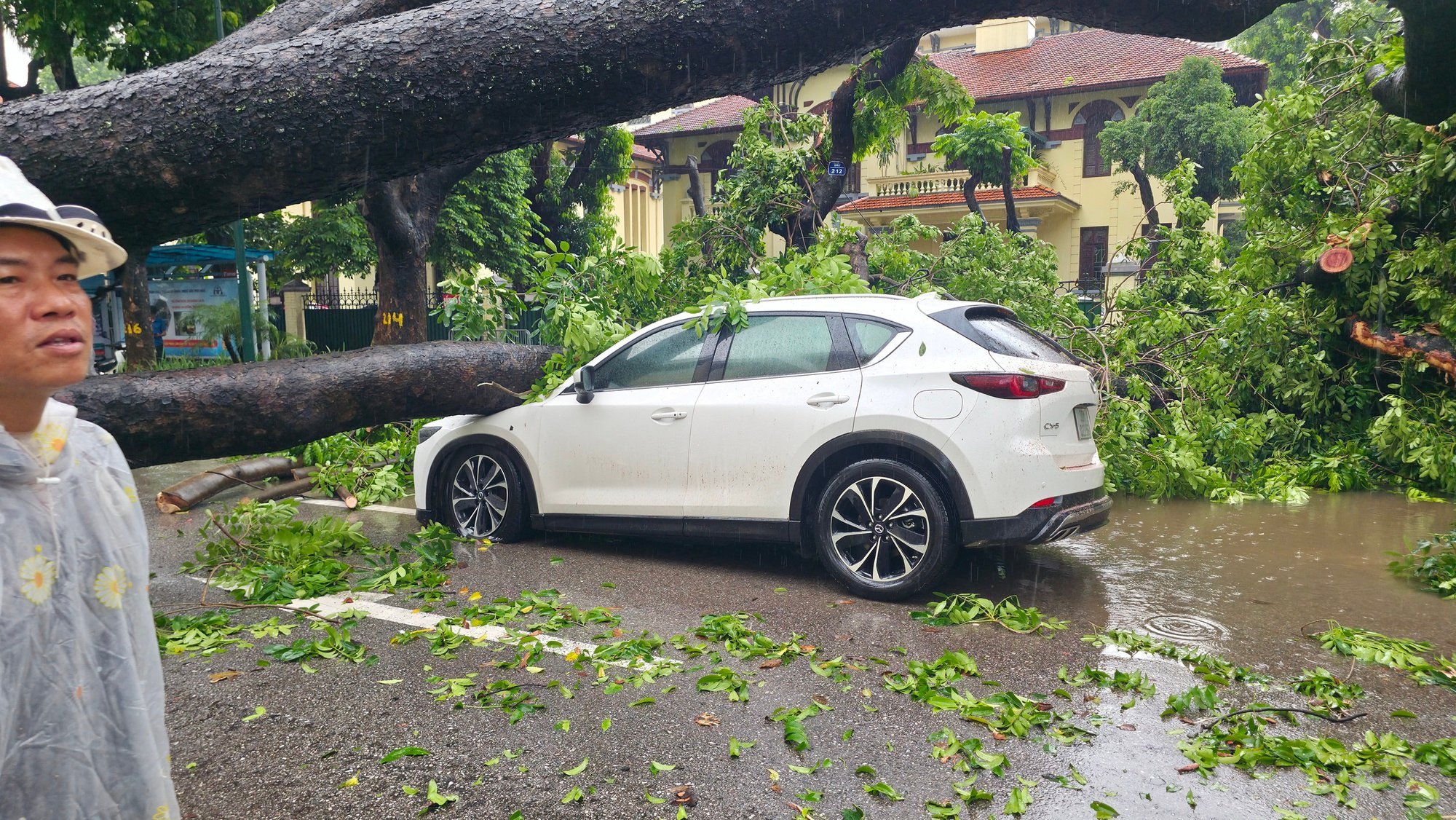 Chủ xe kể 30 giây kinh hoàng khi cây lớn bật gốc đè trúng ô tô giữa phố tại Hà Nội- Ảnh 6.