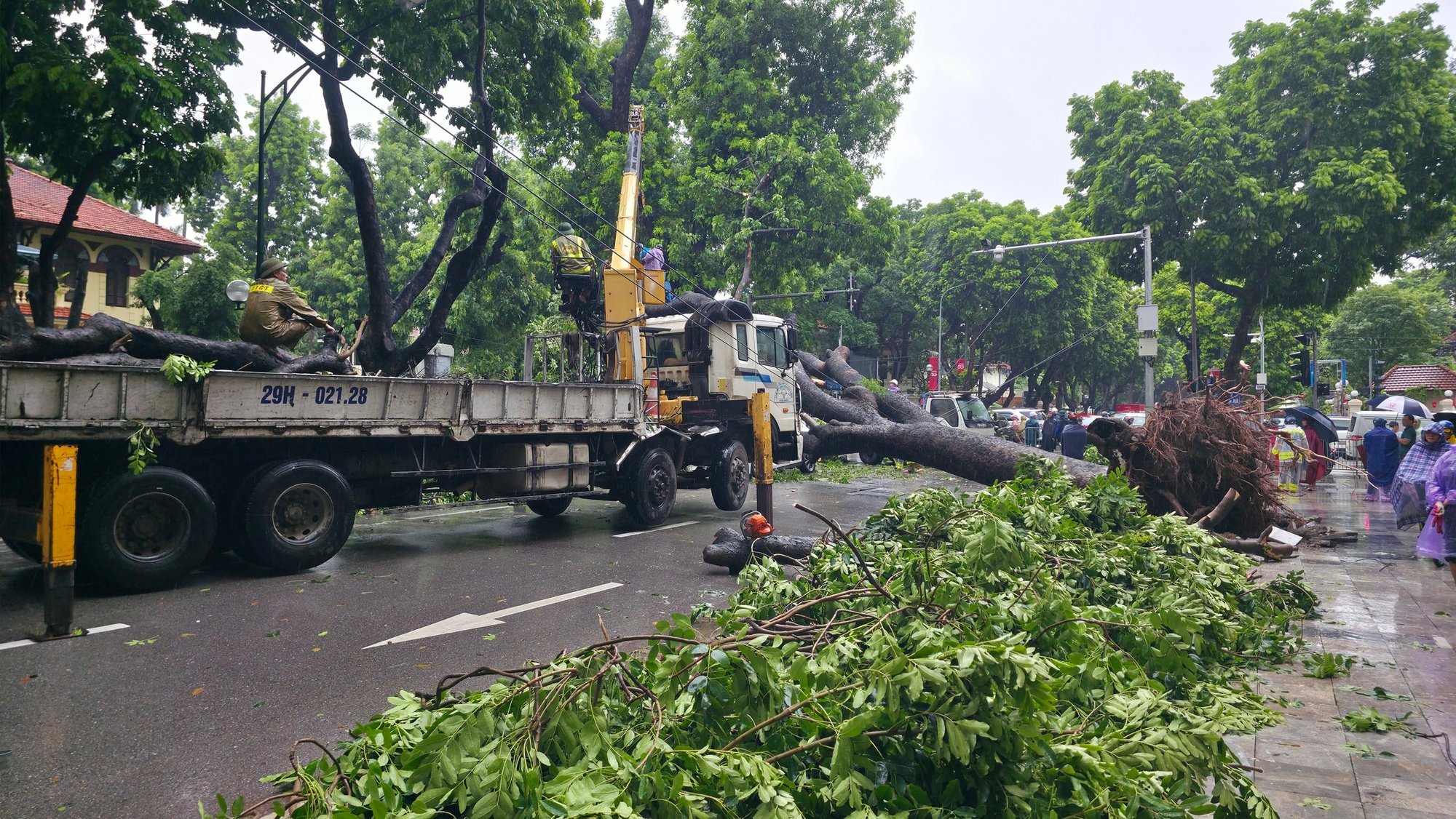 Chủ xe kể 30 giây kinh hoàng khi cây lớn bật gốc đè trúng ô tô giữa phố tại Hà Nội- Ảnh 9.