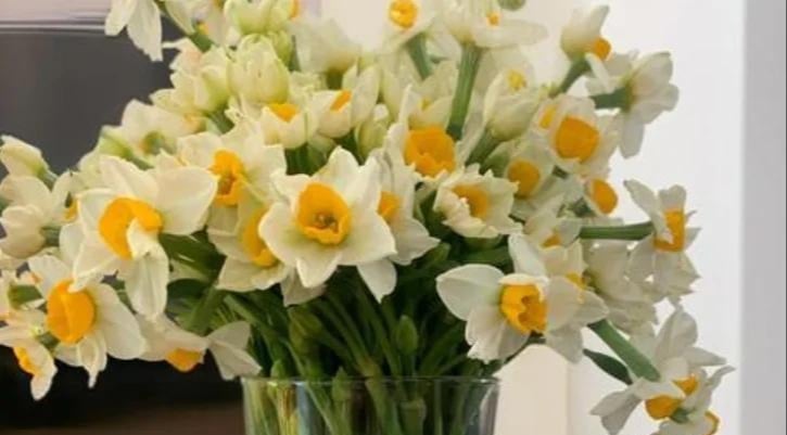 Ông bà dặn: 6 thứ tối kỵ đặt đầu giường kẻo giấc ngủ hóa ác mộng, cơ thể hao mòn như dòng sông cạn nước- Ảnh 3.