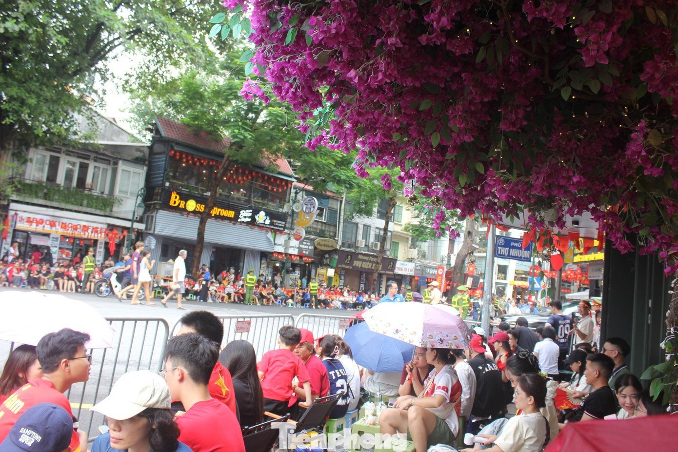 tp-cho-thue-ghe-xem-hop-luyen-a80-42.jpg
