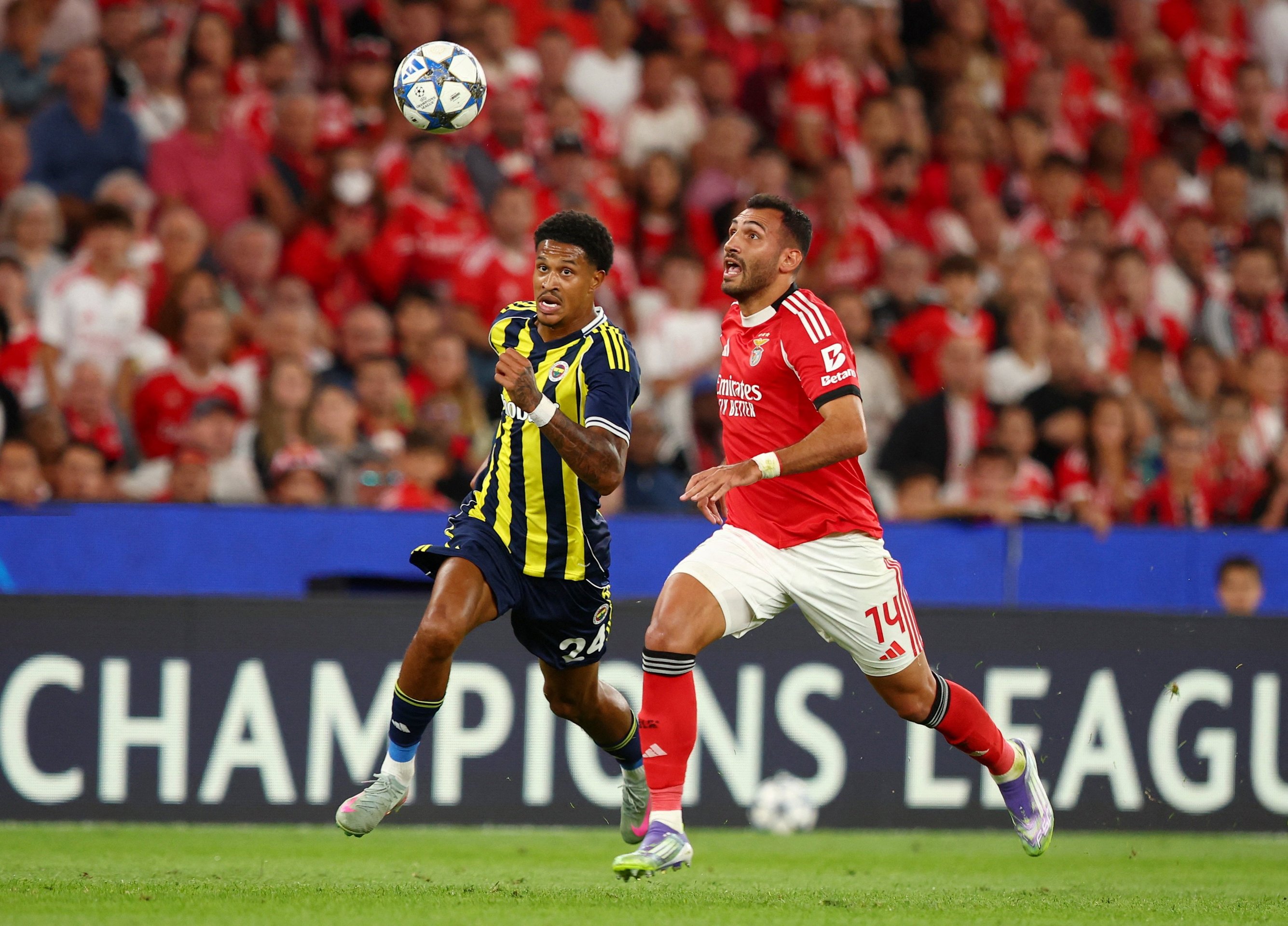 Benfica dau Fenerbahce anh 1