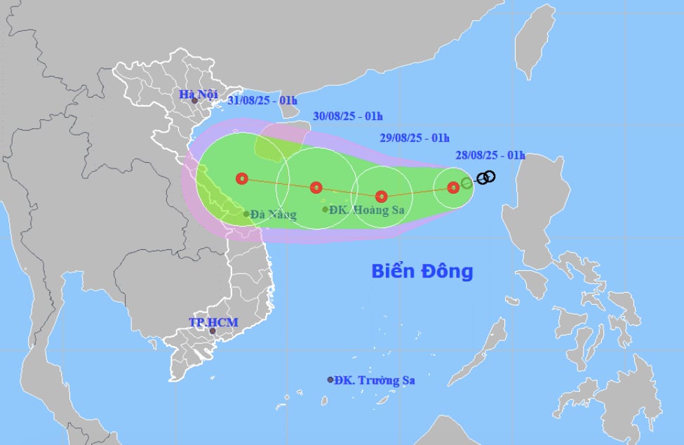 Tin mới về áp thấp nhiệt đới trên Biển Đông- Ảnh 1.