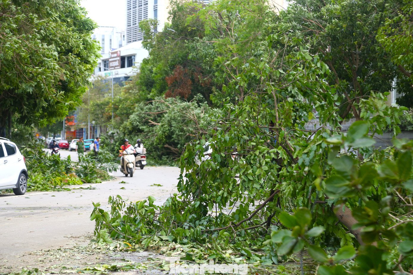 Công nhân môi trường dọn hơn 2.000 tấn rác/ngày sau bão- Ảnh 1.