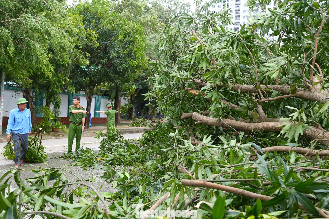 Công nhân môi trường dọn hơn 2.000 tấn rác/ngày sau bão- Ảnh 14.
