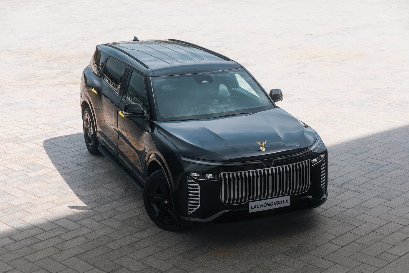 lac-hong-900-lx-2.jpg