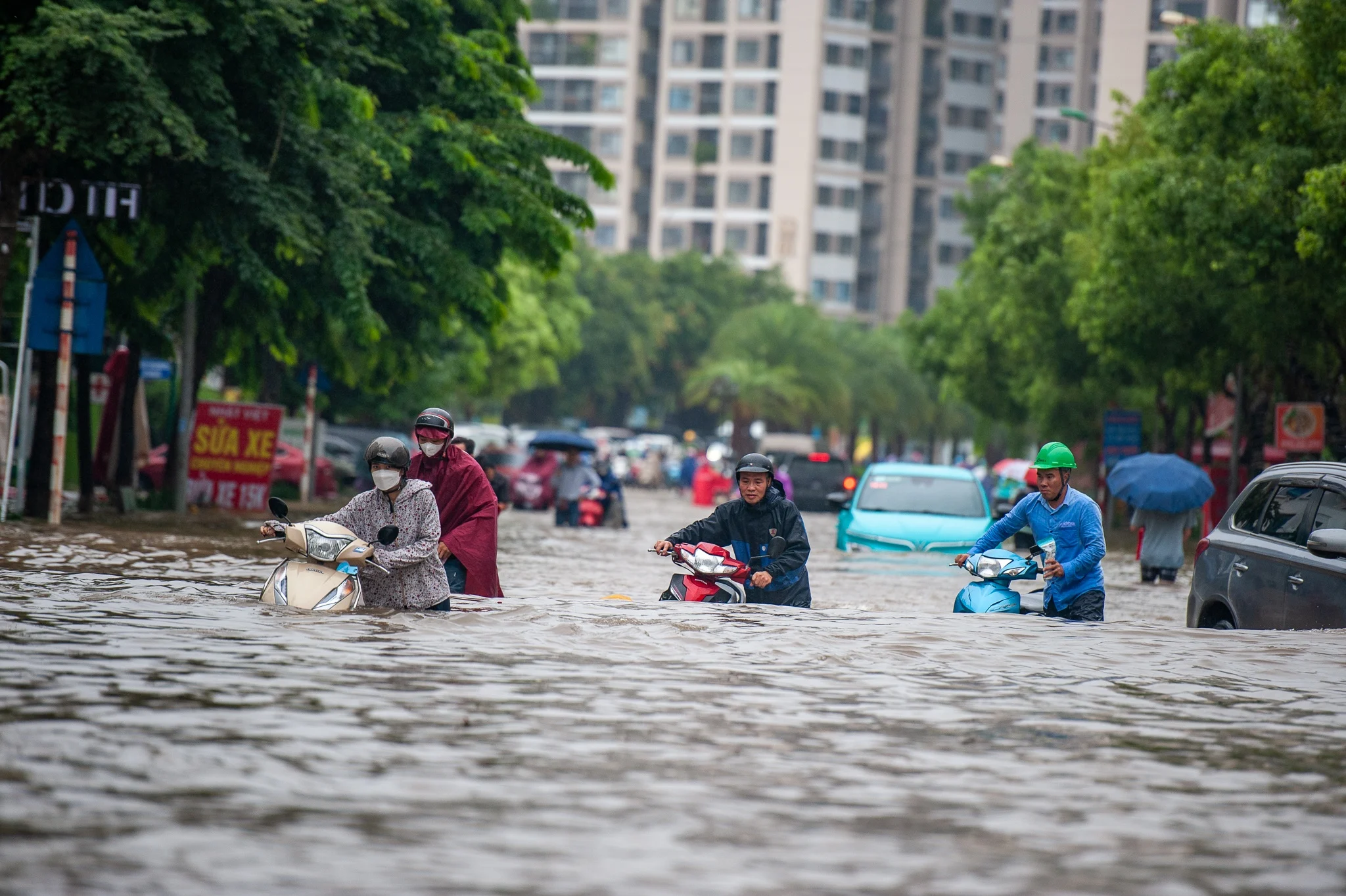 mua to gay ngap, mua ngap ha noi, ha noi ngap anh 1