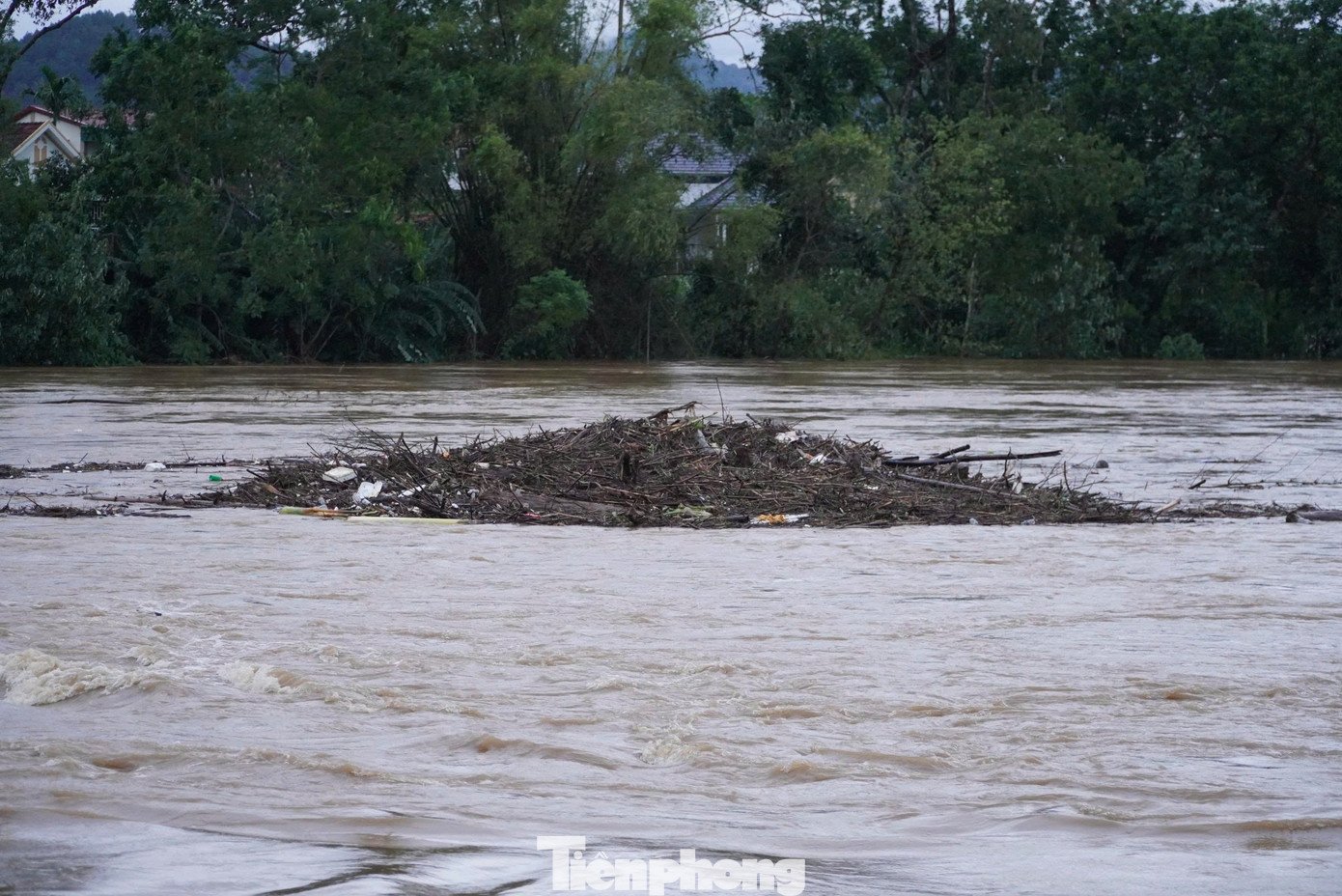 tp-anh-ngap.jpg