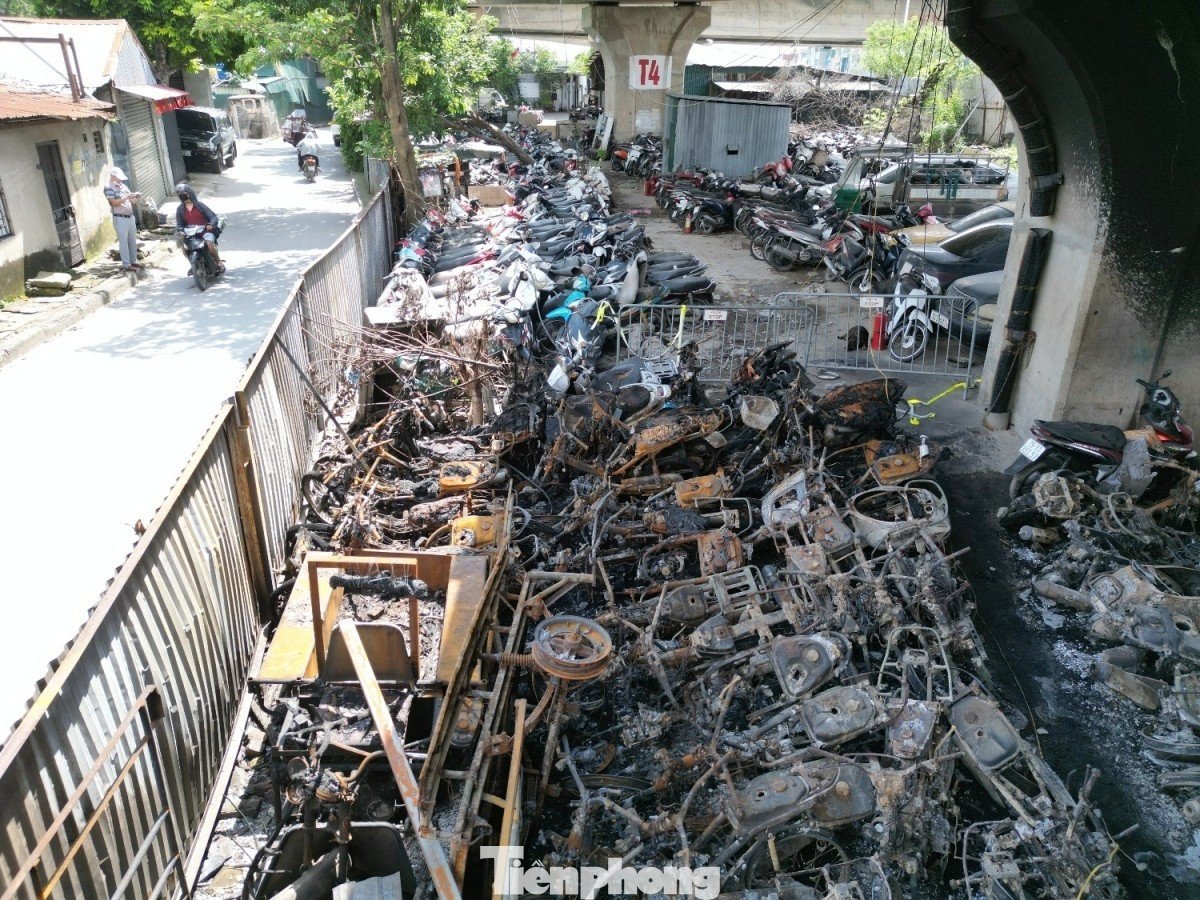 tp-1.jpg