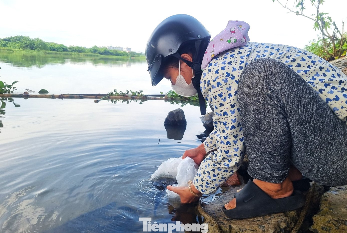 tp-dn-ca-phong-sinh-7.jpg