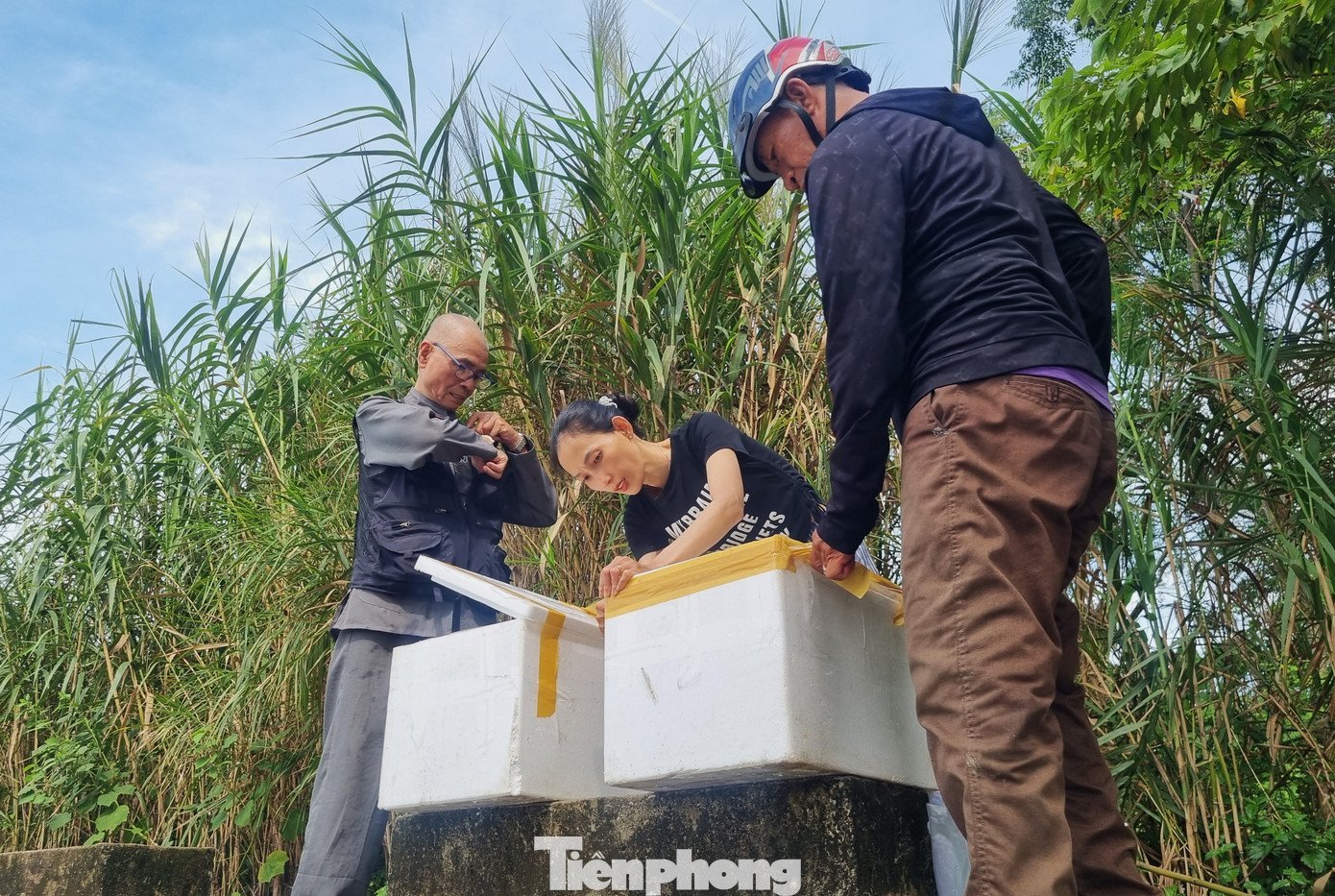 tp-dn-ca-phong-sinh-15.jpg