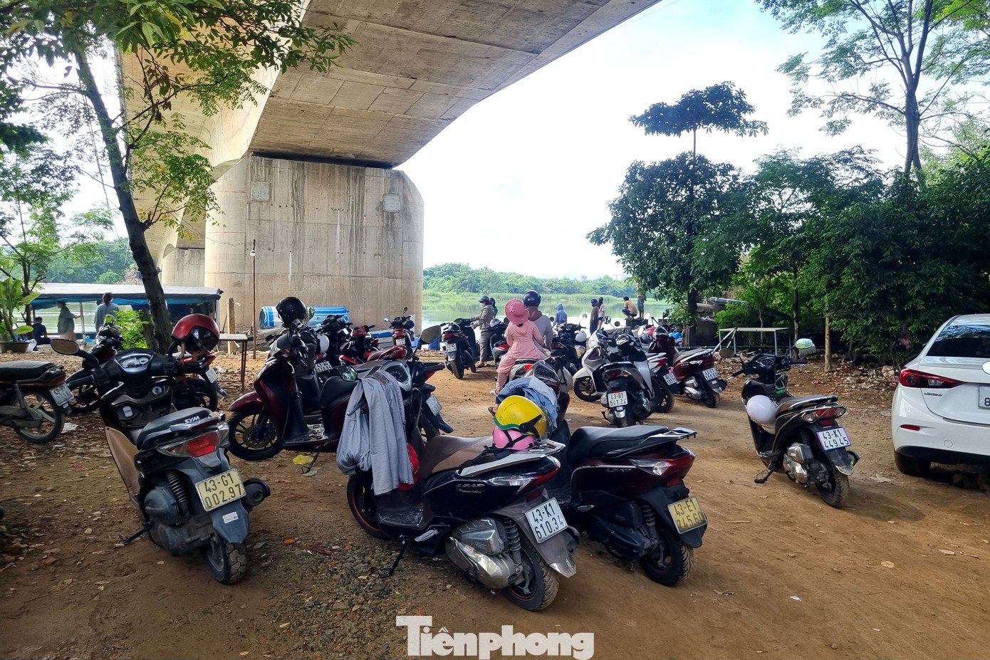 tp-dn-ca-phong-sinh-20.jpg