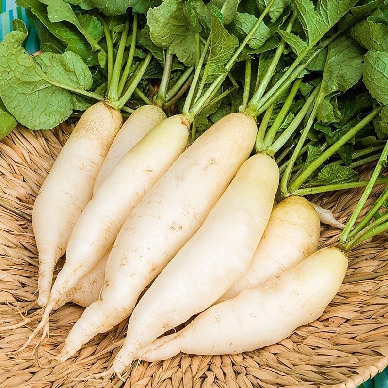 Không phải dưa chuột, tháng 9 nên ăn nhiều 7 loại