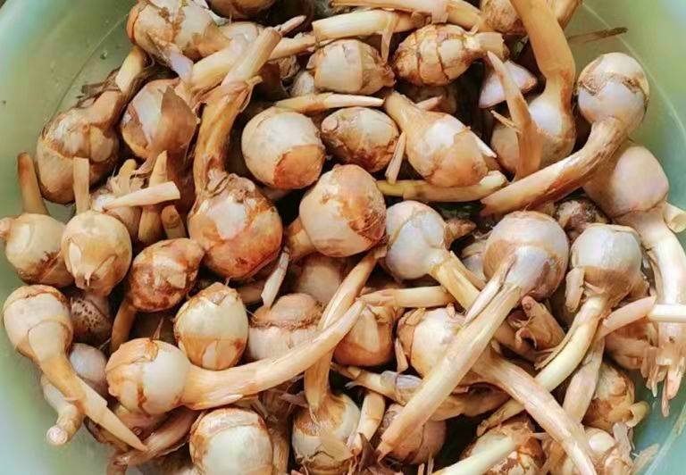 Không phải dưa chuột, tháng 9 nên ăn nhiều 7 loại