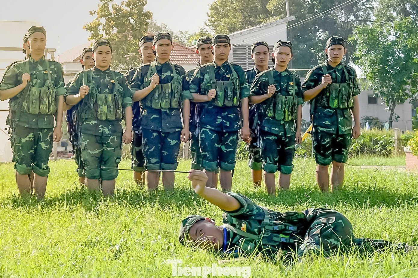 tp-6.jpg