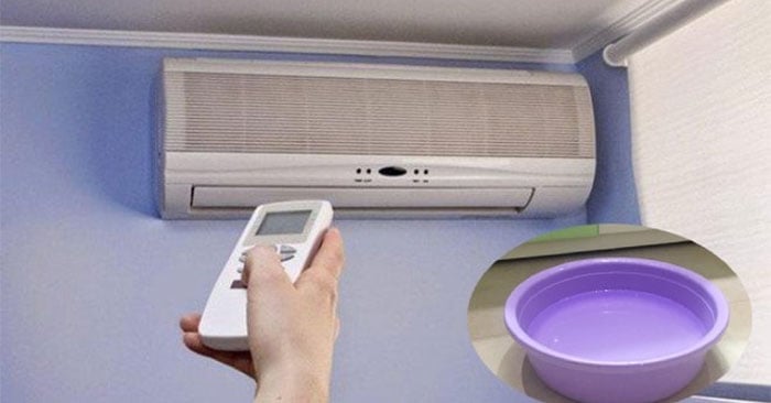 Một số vật dụng nên đặt trong phòng khi sử dụng điều hòa - Ảnh 1.