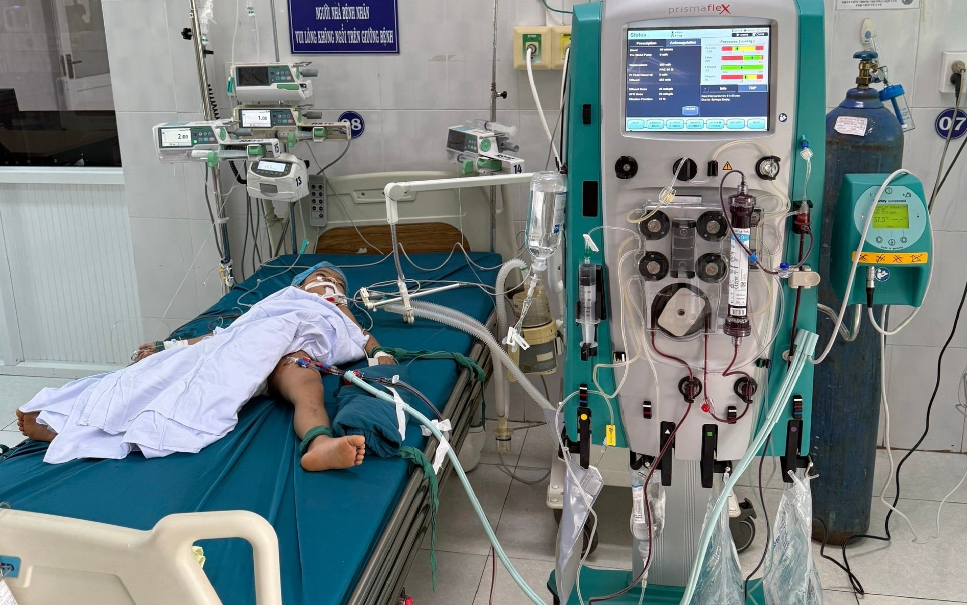 Gia Lai: Bị ong vò vẽ tấn công, 3 cháu nhỏ thương vong - Ảnh 1.