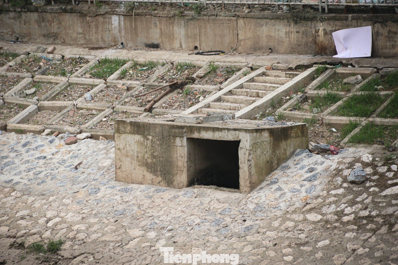 tp-guixe-22.jpg