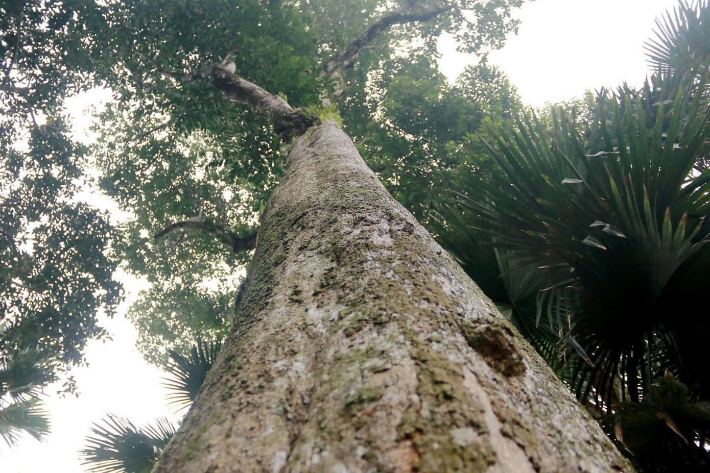 d1b077f76100ea5eb311.jpg