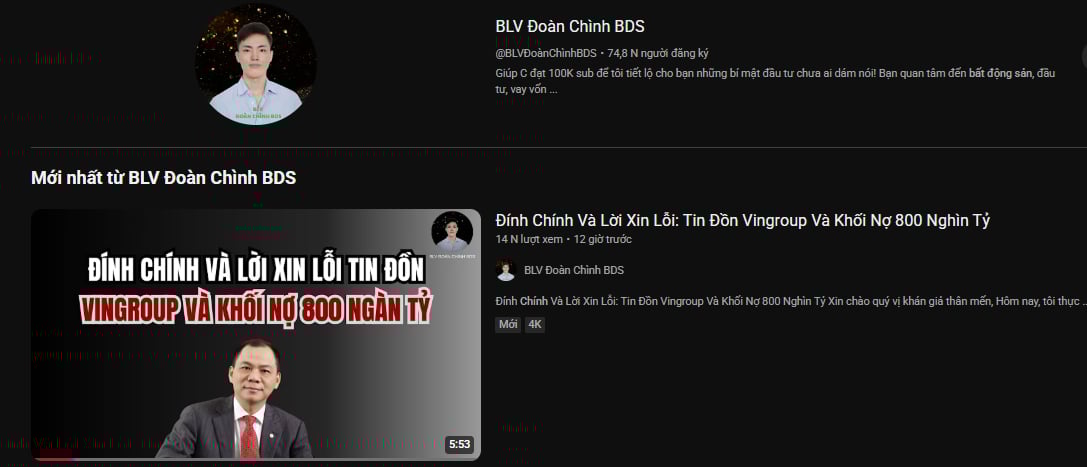 Hơn 50 kênh mạng xã hội gỡ bỏ nội dung sai sự thật về Vingroup - Ảnh 1.