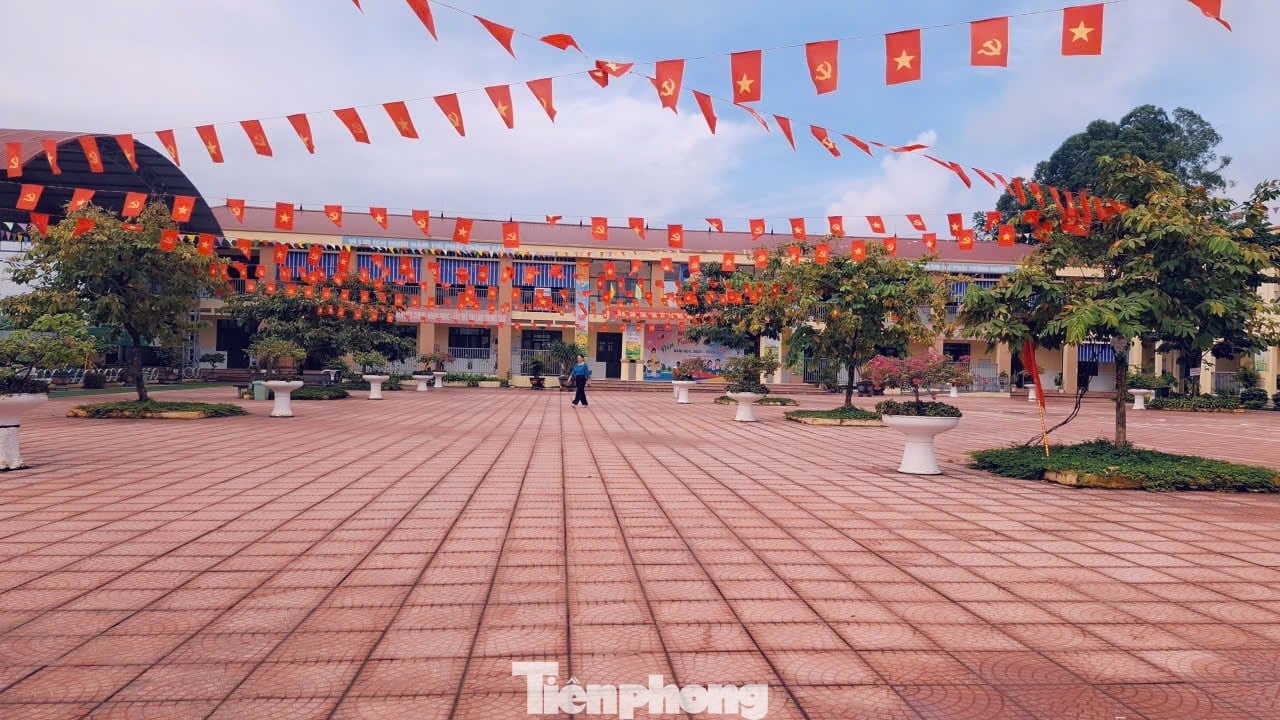 tp-1.jpg