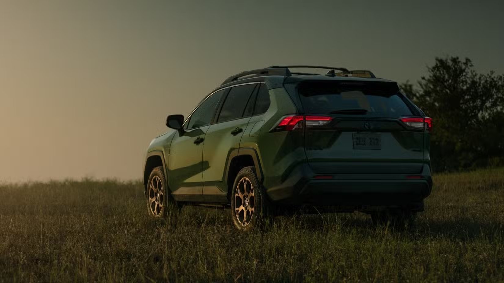 cropped my24_rav4_woodland_004.avif