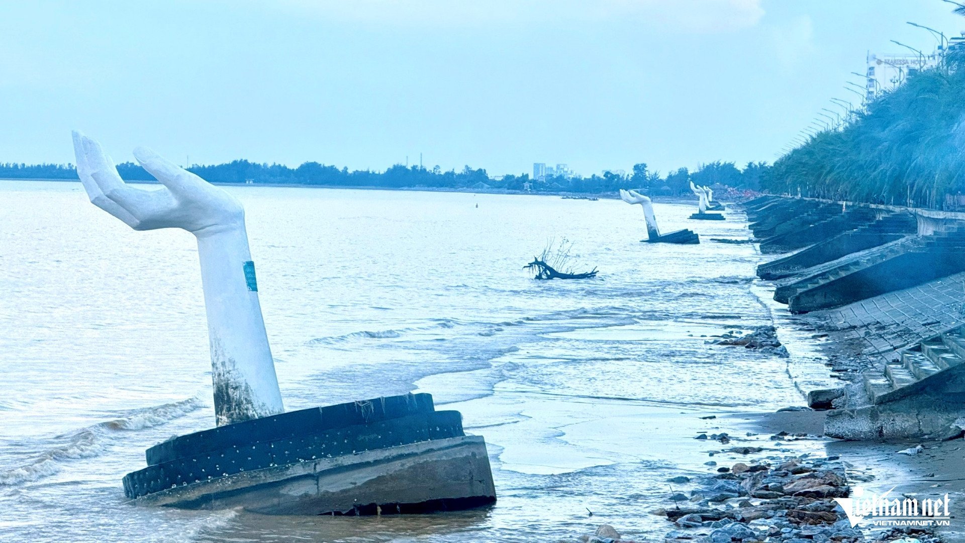 W-a1Những cánh tay.jpg