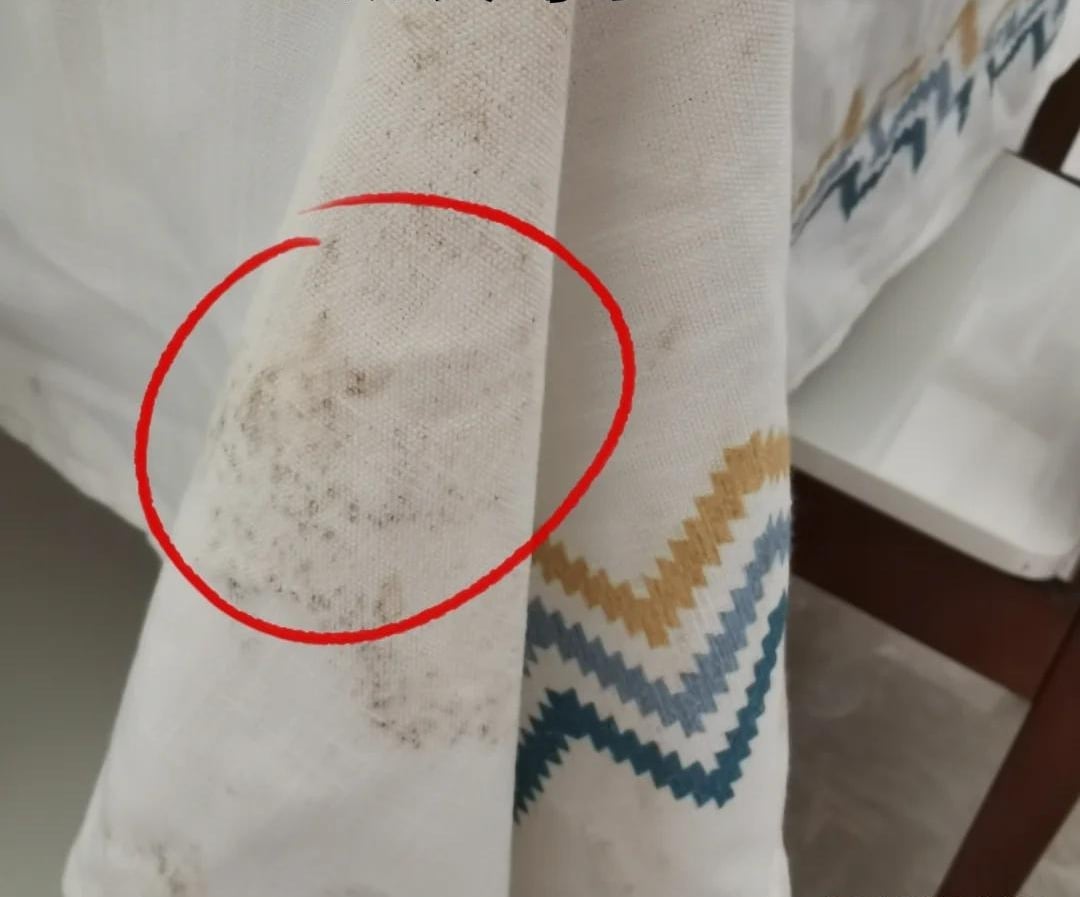 Bước vào tuổi trung niên mới hiểu: Nhà càng ít đồ đạc, cuộc sống càng nhẹ nhõm - đừng tự làm khổ mình- Ảnh 6.