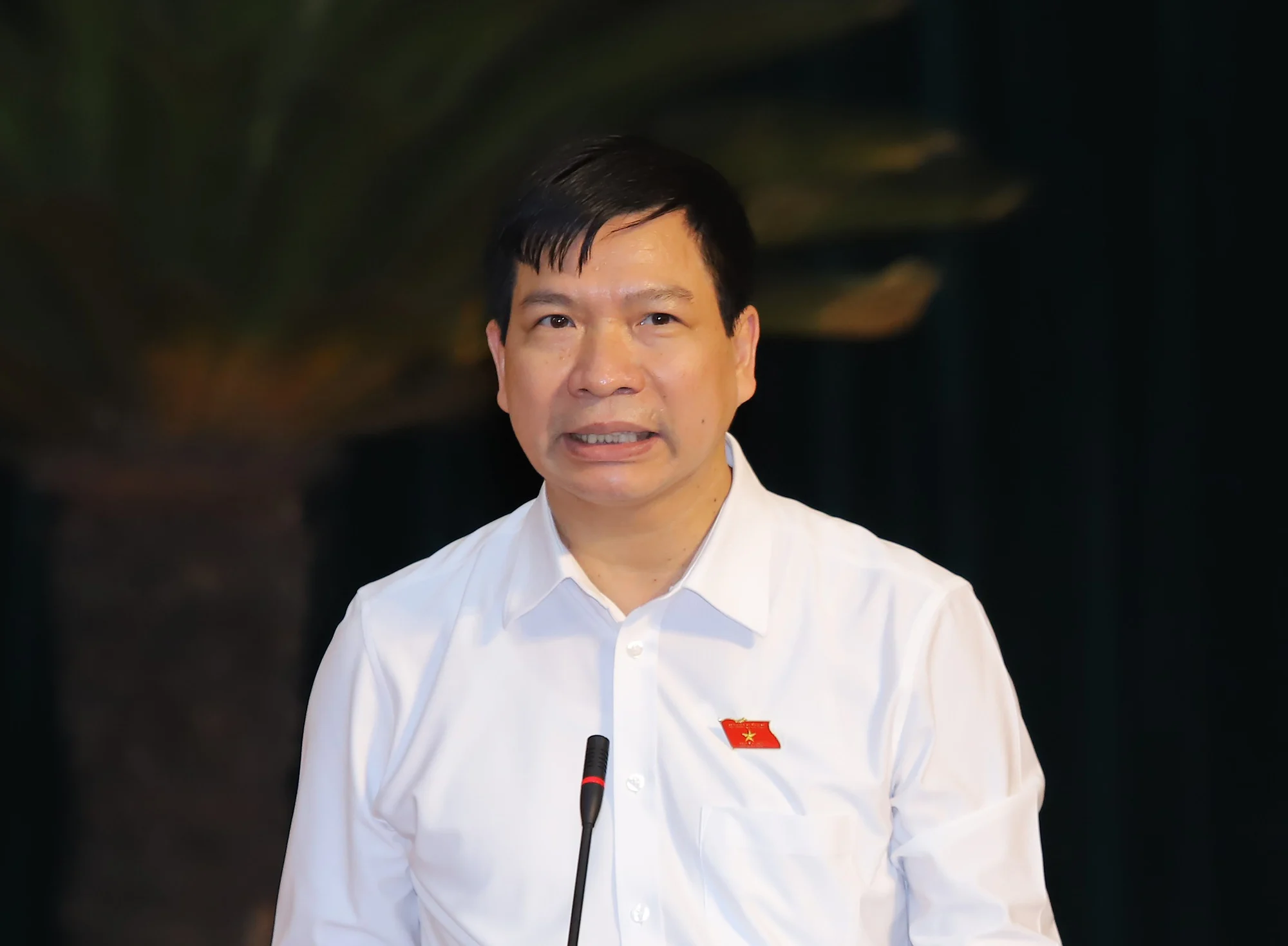 trần văn thức - Ảnh 1.