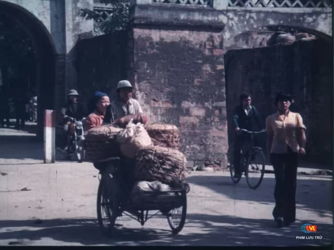 16-1758009895-gioi-thieu-10-bo-phim-noi-tieng-viet-nam-tai-hoa-ky.jpg