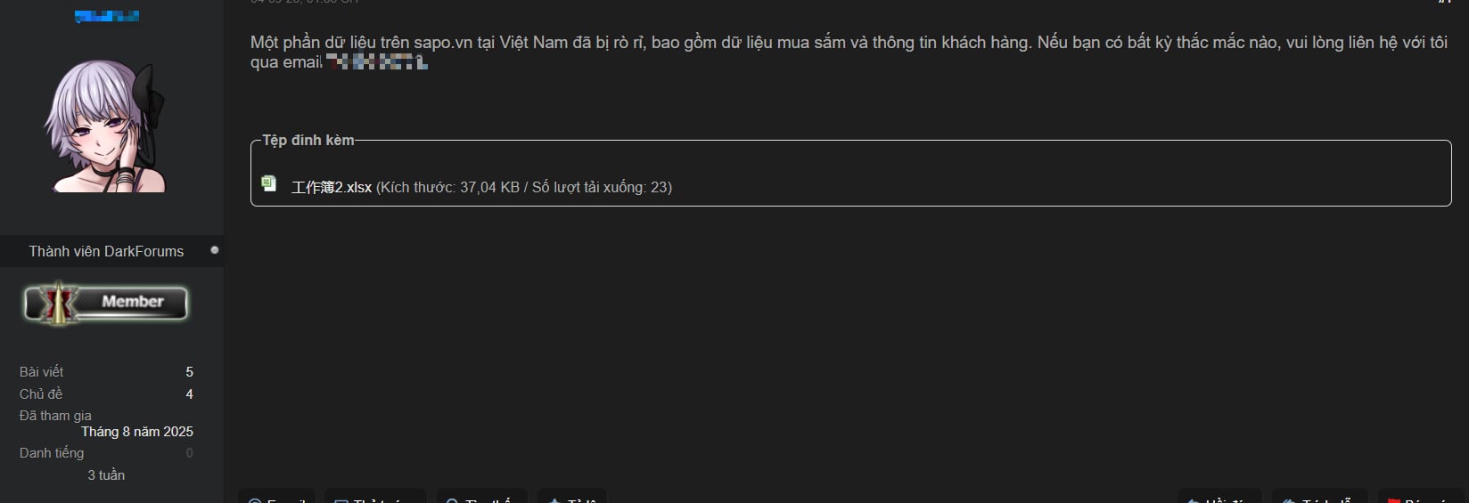Hacker rao bán dữ liệu của Giao Hàng Nhanh và Sapo trên