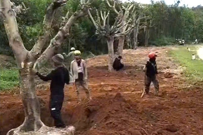 z7019930945426_d295354ddd2c16d25f938e93bb163fb9 Sao chép.jpg