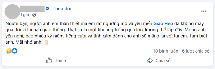 TikToker/ YouTuber Giao Heo đột ngột qua đời ở tuổi 33- Ảnh 3.