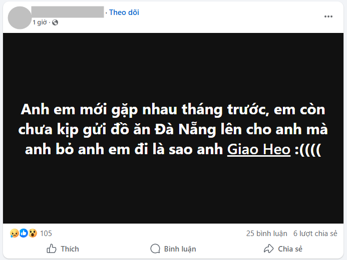 TikToker/ YouTuber Giao Heo đột ngột qua đời ở tuổi 33- Ảnh 4.