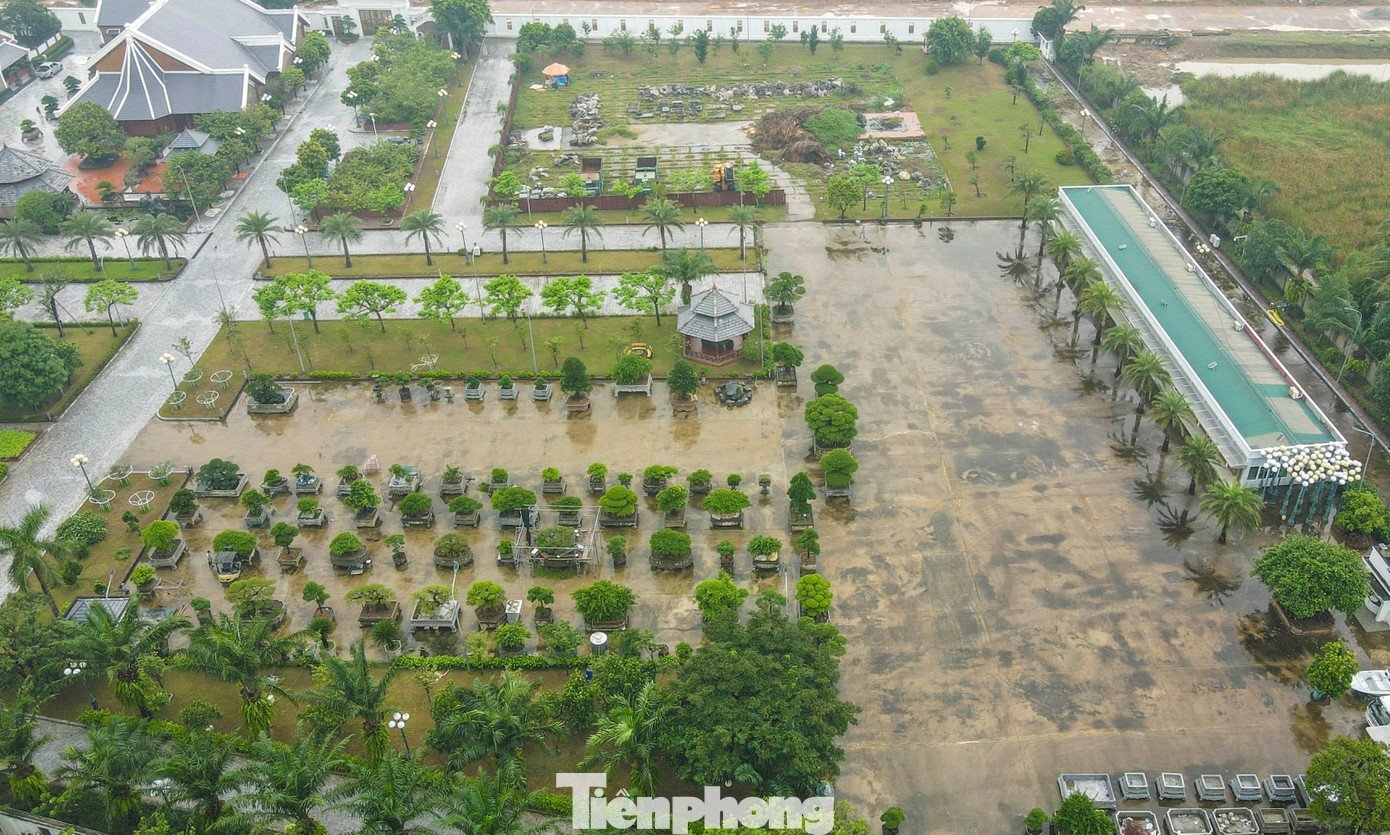 tp-3.jpg