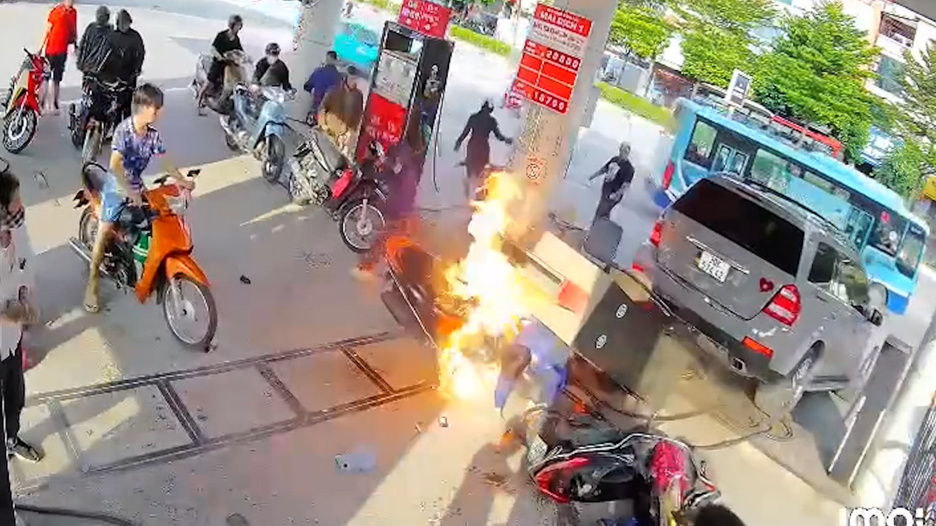 luixetrungcayxang.jpg