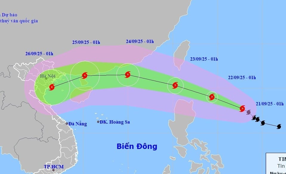 Chuyên gia dự báo 2 kịch bản SIÊU BÃO RAGASA ảnh hưởng tới Việt Nam- Ảnh 1.