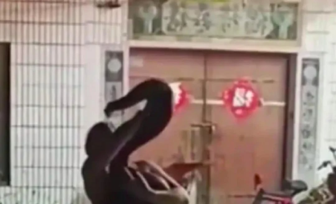 Đi đám cưới, cô gái trẻ bị con trăn 