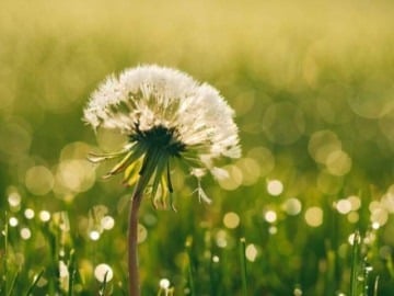 Ngày sinh Âm lịch của người khôn ngoan, hậu vận cực kì thịnh vượng - Ảnh 3.