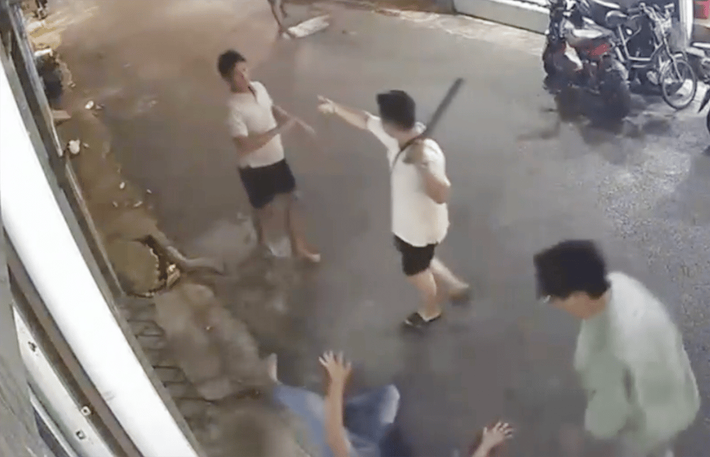 hanh hung 1.png